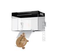 Turtle Basking Dock, Sturdy Pet Turtle Tank with Lid, Reptile Resting Land Aquatic Enclosure for Observation in Home, Balcony and Restaurants,9.84x6.3x6.3 inches