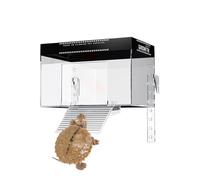 Turtle Dock - Plate-Forme De Réservoir pour Animaux De Compagnie avec Couvercle | Terre De Repos du Reptile Aquatique | Cage De L'enceinte De La Terre | Habitat Flottant pour L'observation Dan