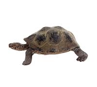 Turtle Figure Model - Life Cycle Model Set Growth Stage Toys | Animal Figures Toys, Reptile Desk Ornament, Animal Collectible, Decorative Shelled Creature Statue for Kids Education Teaching Part