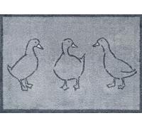 Turtle Mat - Canards - Tapis de protection d'intérieur très absorbant 60 x 85 cm environ. Envers multi-adhérents