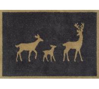 Turtle Mat Tapis de barrière d'intérieur très absorbant avec envers antidérapant 60 x 85 cm