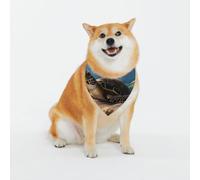 Turtle On The Beach Bandana lavable pour chien de petite et grande taille pour fille ou garçon, accessoires pour animaux de compagnie