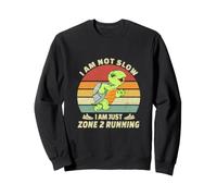 Turtle Runner Team Vintage Je ne suis Pas Lent, Juste en Zone 2 Sweatshirt
