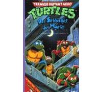 Turtles 3 - Der Schlüssel der Macht [VHS]