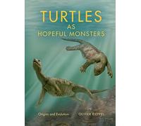 Turtles As Hopeful Monsters: Origins and Evolution