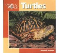 Turtles, Our Wild World Series Deborah Dennard (Auteur)