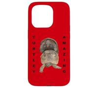 Turtley Amazing Romantique Tortues Vector Cut Out Coque pour iPhone 15 Pro