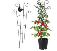 Tuteur - Accessoire Scène Métallique | Poteaux pour Rampantes en Pot - pour Vis Poivron Orchidée Bonsai Fleurs Balcon Jardin
