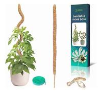 Tuteur Coco 60cm Pliable - Avec Ficelle Jute