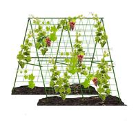Tuteur de concombre en métal Convient pour concombres, soja, tomates et autres légumes Tige de support en acier (en forme de A)