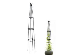 Tuteur de Jardin pour Cadre de Support de Croissance Verticale pour Fleurs