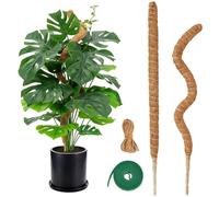 Tuteur Monstera, Lot de 2 Supports pour Plantes Grimpantesen Coco Naturel 60cm avec Ficelle et Sangles Velcro, Tuteur Stable et Flexible pour Forme DIY -Pour Plantes d'Intérieur Monstera, Philodendron