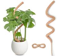 Tuteur Monstera pour Plantes, SproutMaven 120cm x 1 kit de Poteau de Mousse Monstera pour Plantes Grimpantes, Tuteur Coco pour Plantes d'intérieur