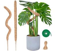 Tuteur Monstera pour Plantes, SproutMaven 60cm x 2 kit de Poteau de Mousse Monstera pour Plantes Grimpantes, Tuteur Coco pour Plantes d'intérieur