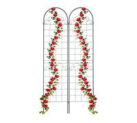 Relaxdays Tuteur à Plantes, à Poser, Lot de 2, pour Plantes grimpantes, utiles, ornementales, HxL : 220 x 50 cm, Vert