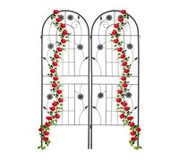 Relaxdays Tuteur à tomates, en Lot de 2, pour Plantes grimpantes, en métal, à Planter, H x L : env. 150 x 50 cm, Noir