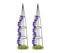 Tuteur tomate support de jardin 1,5 kg 2 pièces tuteur pour plantes grimpantes