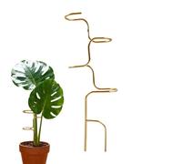 Tuteurs de - Piquets de support en métal | Support de jardin Monstera, cadre de support de tige de rose pour orchidée, pivoine, amaryllis, cage de support de fleurs d'intérieur et d'extérieur