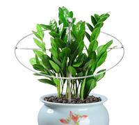 Tuteurs de - Tuteur métallique invisible pour extérieur et intérieur - Poteau métallique de maintien intérieur pour - Pour pivoine rose monstera tige végétale lit surélevé patio