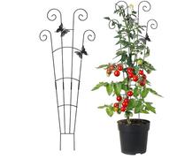Tuteurs pour d'intérieur - Poteau métallique comme Accessoire scène | Support tuteur pour d'intérieur et d'extérieur pour aménagement paysager, légumes, Tomate, poivron, orchidée