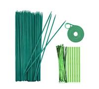 Tuteurs pour Le Soutien des | Support pour Monstera,avec Attaches Et Ruban Support De Monstera - pour Arrangements Floraux, Artisanat DIY, en Pot, Orchidées, Tomates et Jardin