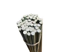 Tutor Lot de 50 tiges en fibre massive pour plantation d'arbres 9 mm x 120 cm Également utilisées comme poteaux pour bergers électriques.