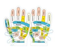 Tutoriel Gants de Réflexologie - Moufles Pression Version Anglaise Massage Main | Outils Point D' Pour Débutants | Gants Tutoriels En Polyester | Appareil De Massage De Réflexologie