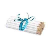 Tuuters 10 pcs Éprouvettes en verre avec des bouchons en liège naturel, Tubes à essai, Paroi épaisse (160 x Ø16 mm)