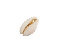 TUXCAXI Collier à la mode avec des coquillages faits à la main avec un | assorti Accessoires de fabrication de bijoux bricoler soi-même Accessoires de bricolage