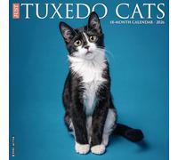 Tuxedo Cats 2026 12 X 12 Wall Calendar