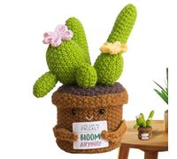 Tuxuseo Cactus Crochet Positif - en Crochet Motivante - Cactus Décoratif pour Collectionneurs Étude Adolescents Sensibles Adultes Chevet Table de Nuit Bibliothèque