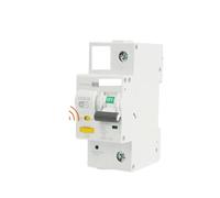 TUYA MCB With metering Smart Miniature Circuit Breaker AC Type Smart Life Remote control Timed 2P 3P EKR3S NWPNLXEA(1p,40A)