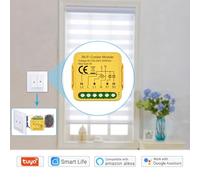 Tuya - Module de rideau Intelligent WIFI, interrupteur de persienne, rideau motorisé électrique, commande de volet roulant, Assistant à distance avec application (Votre version WiFi)