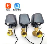 Tuya WiFi ou Zigbee vanne d'eau arrêt robinet à tournant sphérique minuterie jardin contrôleur de robinet intelligent SmartLife prise en charge Alexa Google Assistant Zigbee DN25