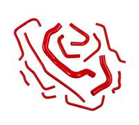 Tuyau Admission Kit De Durites Reniflard Liquide De Refroidissement En Silicone Pour Mazda Pour MX-5 Pour Miata NB MK2 MK2.5 1.8 BP-Z3 1998-2005 Durite(Rouge)