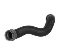 Tuyau caoutchouc, refroidissement moteur THERMOTEC DWB247TT