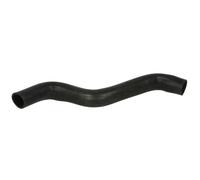 Tuyau caoutchouc, refroidissement moteur THERMOTEC DWF081TT