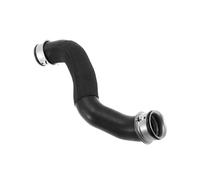Tuyau d'admission Tuyau D’eau Refroidissement Inférieur Radiateur Pour Mercedes Pour Benz Classe E E200 E250 2009-2016 A2125018282