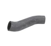 Tuyau d'aspiration, filtre à air THERMOTEC DCG099TT