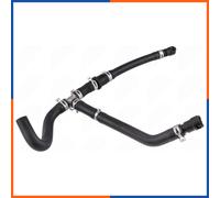 NTY CPP-FR-026 Durite de radiateur pour FORD USA