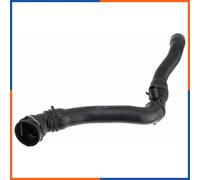 Tuyau de liquide de refroidissement pour VW | 1J0122101R, CPP-WW-065, 25294