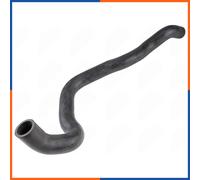 NTY CPP-WW-056 Durite de refroidissement