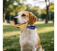 Tuyau d'incendie durable pour chiens de taille moyenne à grande, idéal pour le tir à la corde, l'entraînement des chiots et le jeu interactif, jouet de guerre interactif les ( Yellow, 35x5 cm)