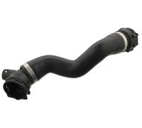Tuyau du système de refroidissement à droite, inférieur 103045 FEBI BILSTEIN
