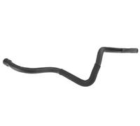 Tuyau du système de refroidissement à droite, inférieur 14023 FEBI BILSTEIN