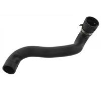 Tuyau du système de refroidissement à droite, inférieur 36146 FEBI BILSTEIN