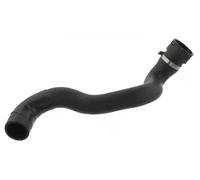 Tuyau du système de refroidissement à droite, inférieur 36148 FEBI BILSTEIN