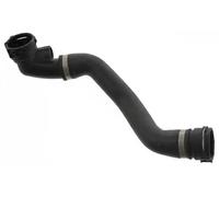 Ferdinand Bilstein Durite de radiateur 45815 (inférieure, droite) pour BMW X5 E53
