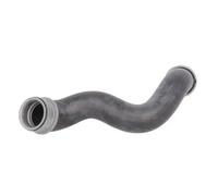 Durite de radiateur THERMOTEC DWM024TT droite