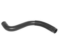 Durite de radiateur SASIC 3406474